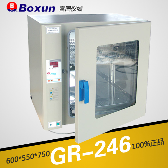 上海博迅热空气消毒箱（干烤灭菌器，微电脑）GR-246